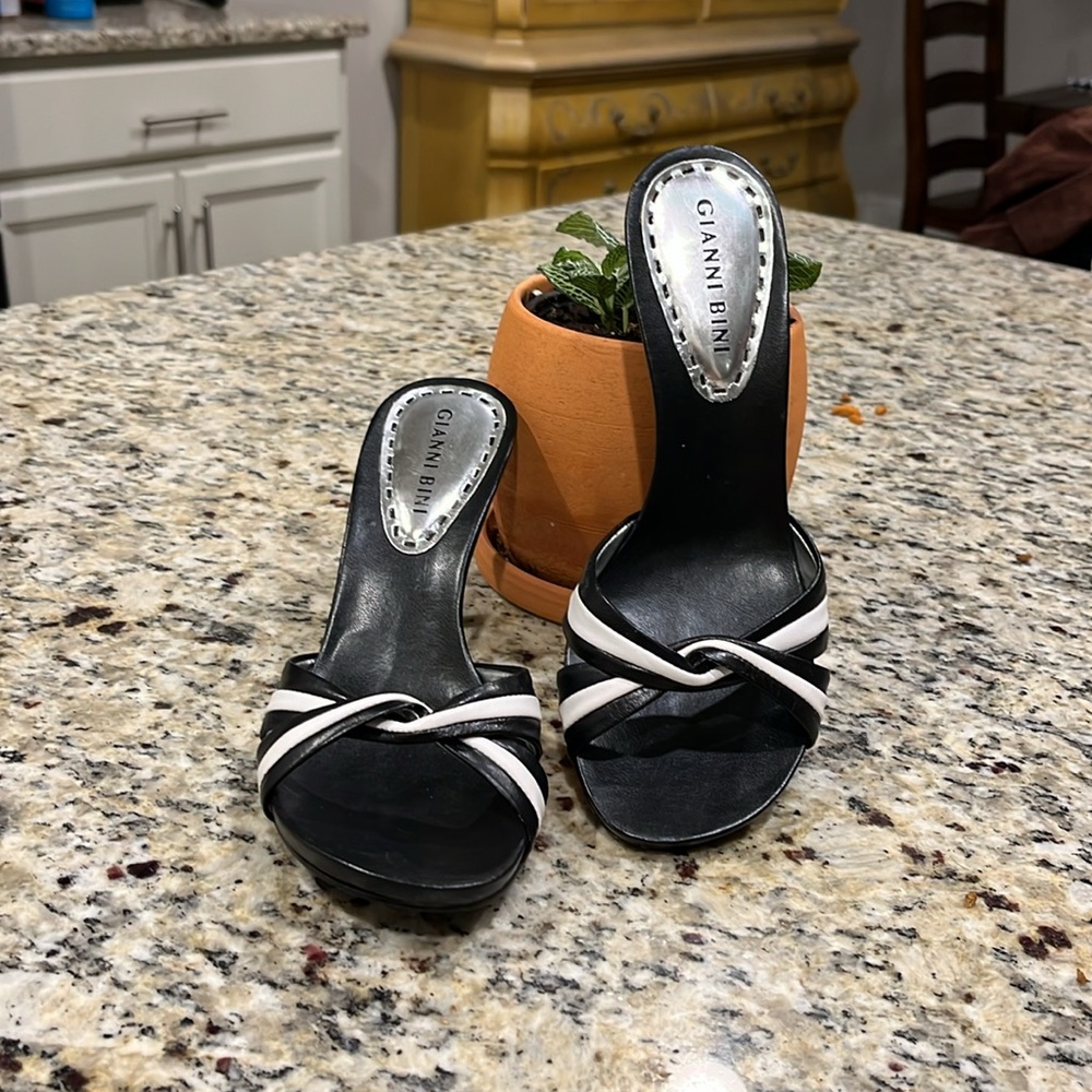 Gianni Bini Slides